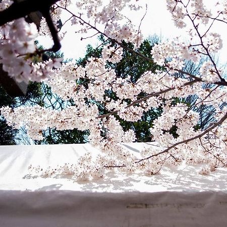 Tora Hotel Tokyo-Kitaueno 寅ホテル北上野 מראה חיצוני תמונה