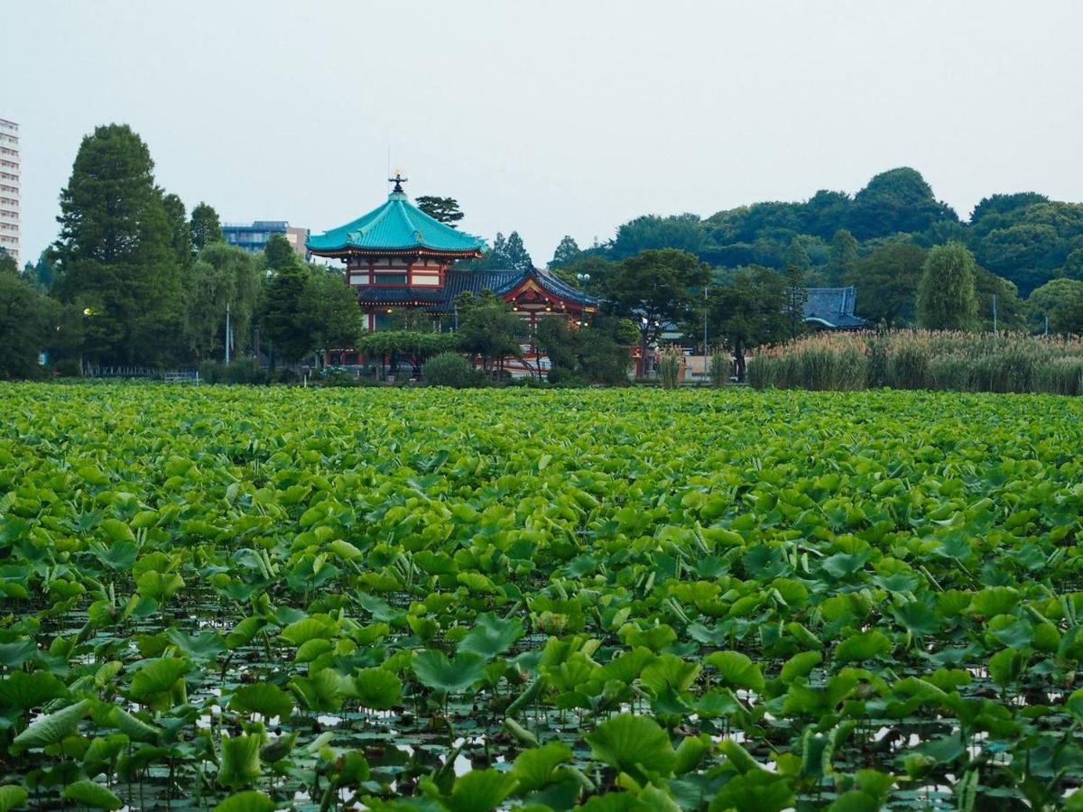 Tora Hotel Tokyo-Kitaueno 寅ホテル北上野 מראה חיצוני תמונה